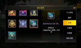 刺激战场s8爆料最新,全新内容与玩法大揭秘！